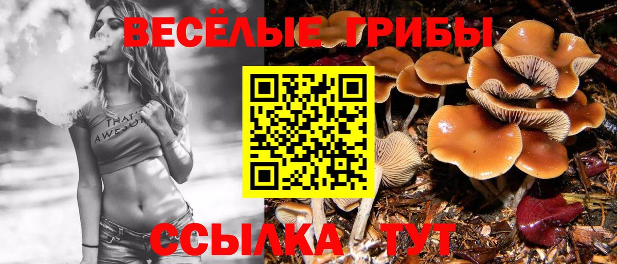 Кореновск  Псилоцибиновые грибы Magic Shrooms  Вход с VPN 